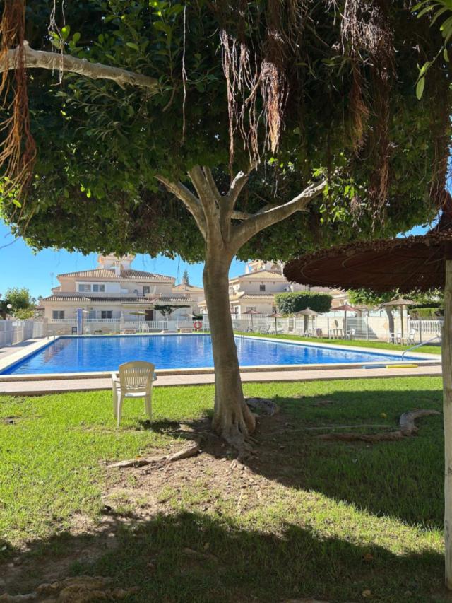 Bungalow for Rent in Playa Flamenca